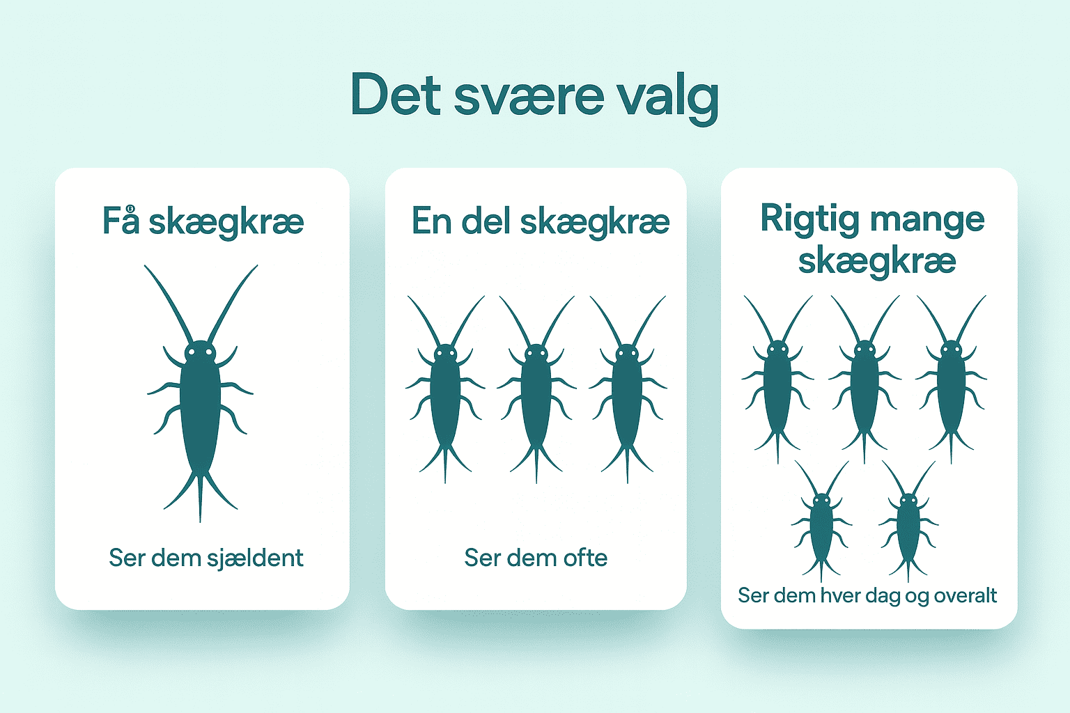 Illustration til side om valg af pakkeløsning mod skægkræ
