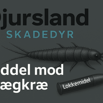 Oversigt over forskellige midler mod skægkræ, både giftfri løsninger, fælder og kemiske produkter.